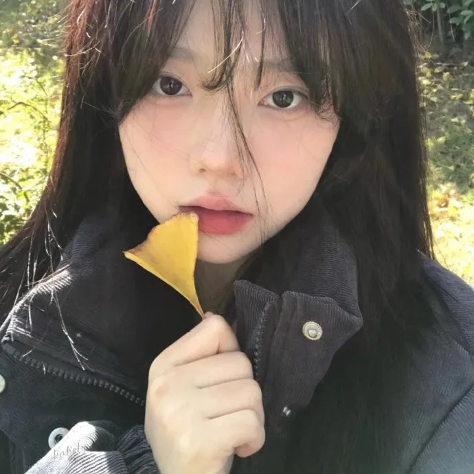 无耻之徒第四季