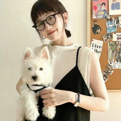 猫咪后院之家